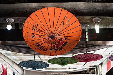 《宝可梦：朱紫》新泰拉挑战将开 波荡水与铁斑叶参战